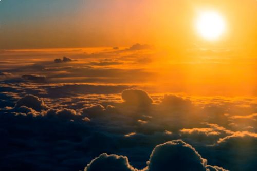 老驥伏櫪度炎夏