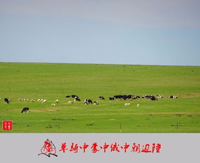 老驥伏櫪，志在千里 單騎穿越中蒙、中俄、中朝邊陲游記與攻略